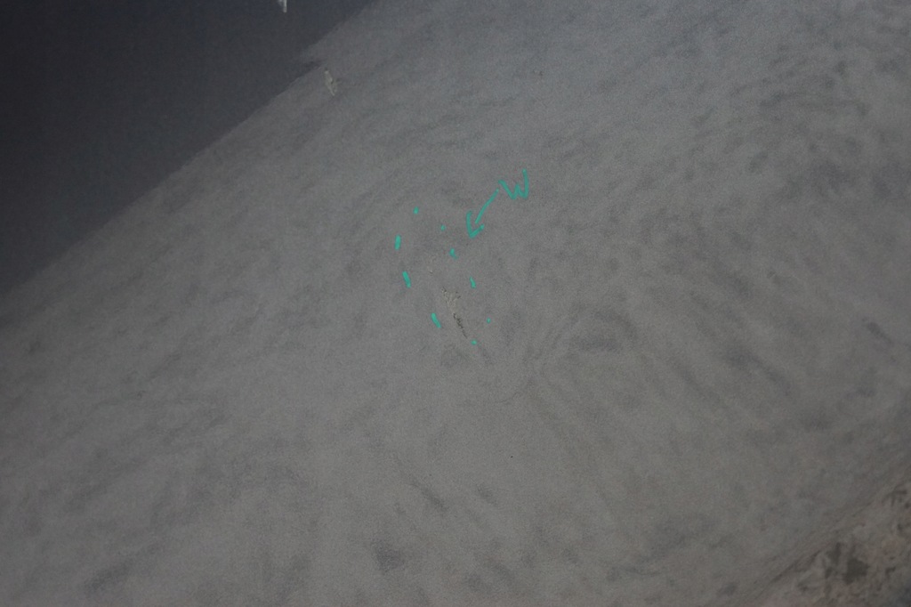 фото №10, Дверь правый задняя fiat bravo ii