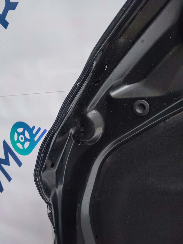 фото №10, Капот крышка двигателя audi a5 ii f5 8w 8w6 lift