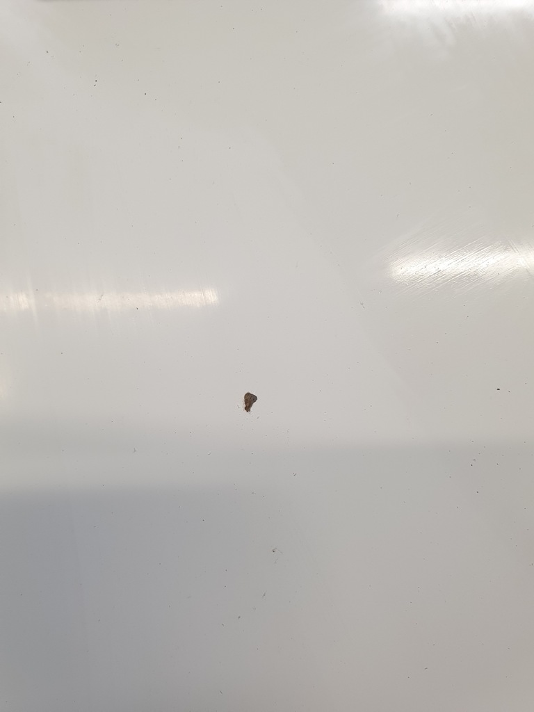 фото №8, Renault master iii капот незабарвлений