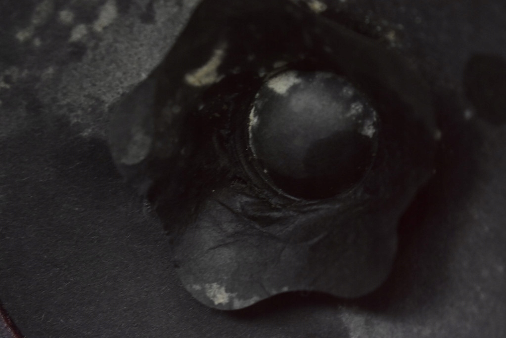 фото №12, Динамик правый задняя chevrolet hhr 1 i 05-11