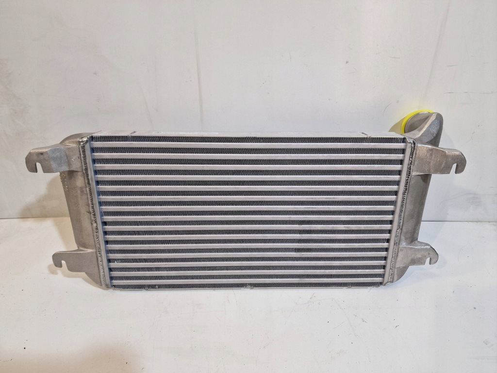 Купити Mercedes g klasa w463 новий інтеркулер a4635002200