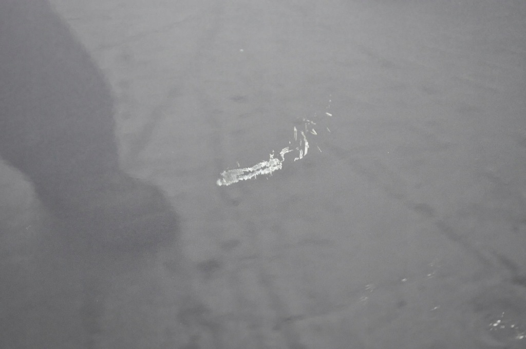 фото №10, Lexus is iii дверь правый перед передние