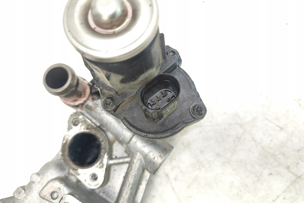 фото №8, Радіатор egr vw golf plus 5m1, 521 03l131512dq 1.6l дизель 77kw 2009