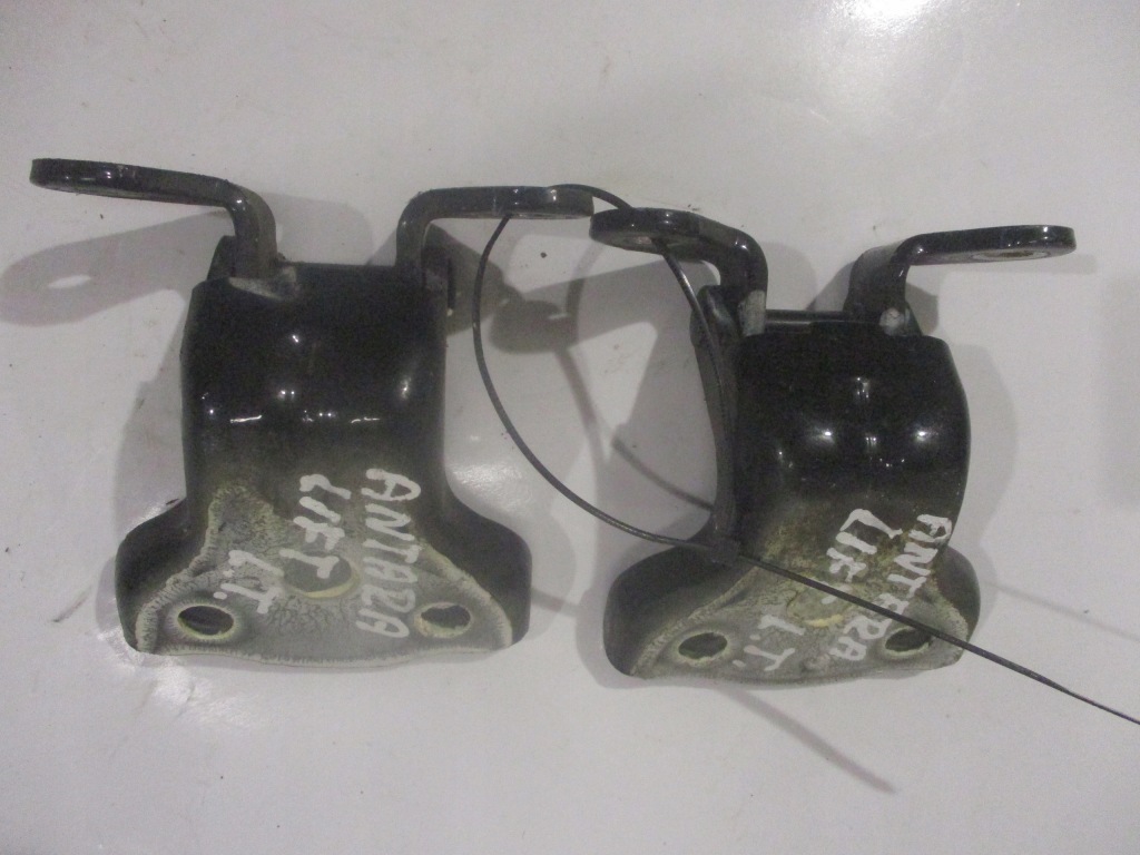 фото №3, Петли дверь левый задняя opel antara gar c105