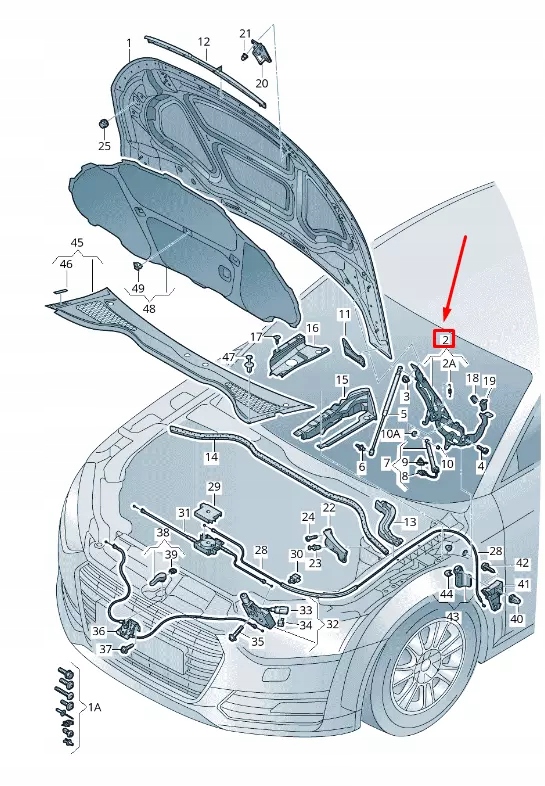 фото №1, Audi tt fv петля капот передний левый 8s0823301d