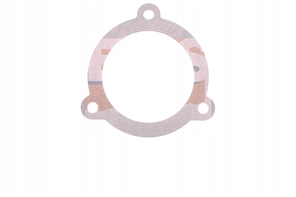 фото №3, Прокладка термостата eps