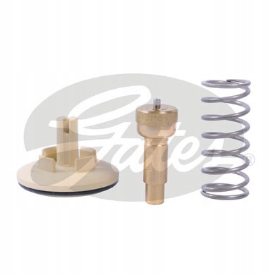 фото №1, Термостат skoda roomster