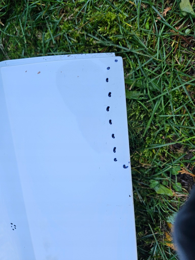 фото №11, Двері правий задня audi a3 8v sportback