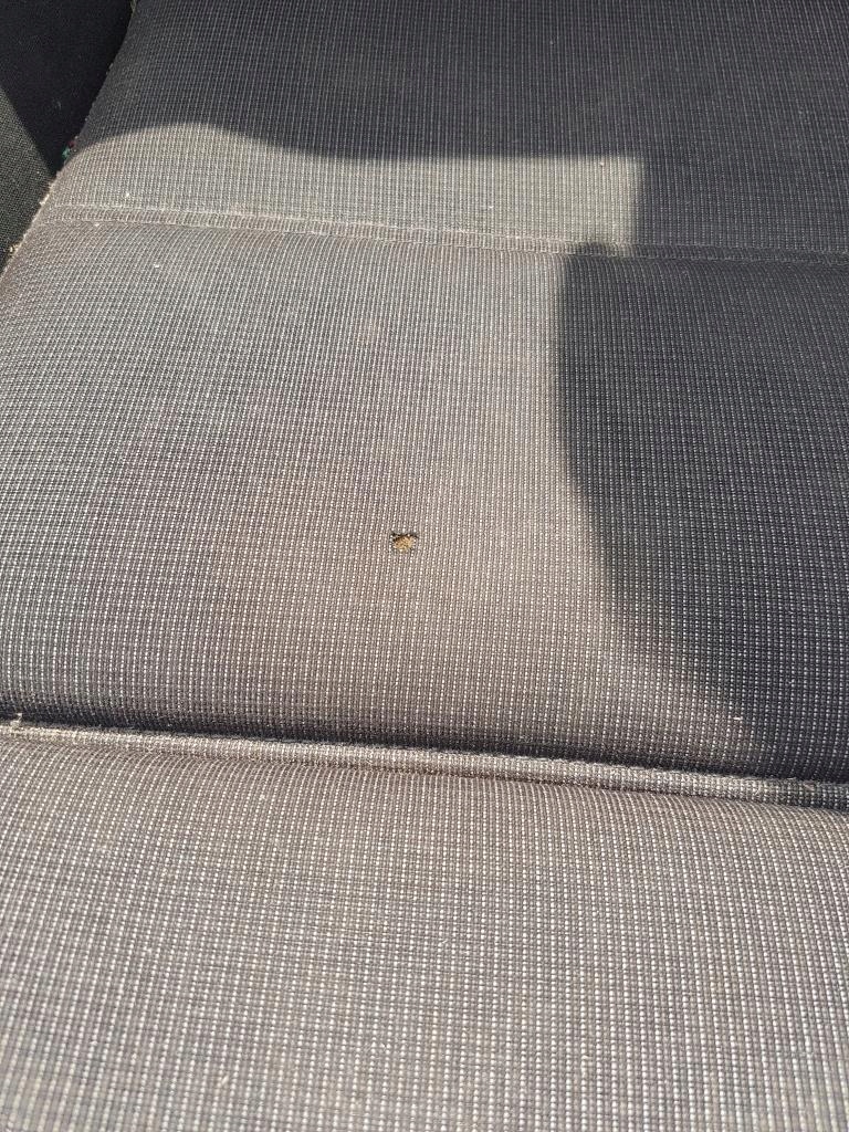 фото №10, Сидіння правий подушка безпеки anglik volkswagen passat b8