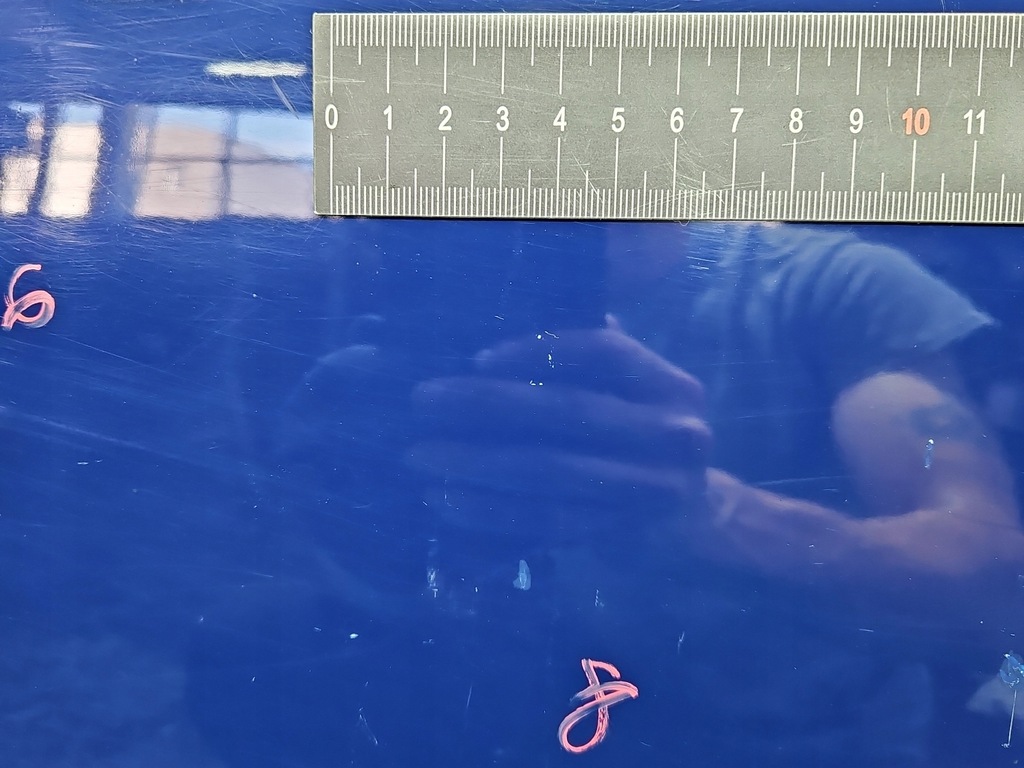 фото №10, Дверь перед левая toyota corolla e12 3d 8q4