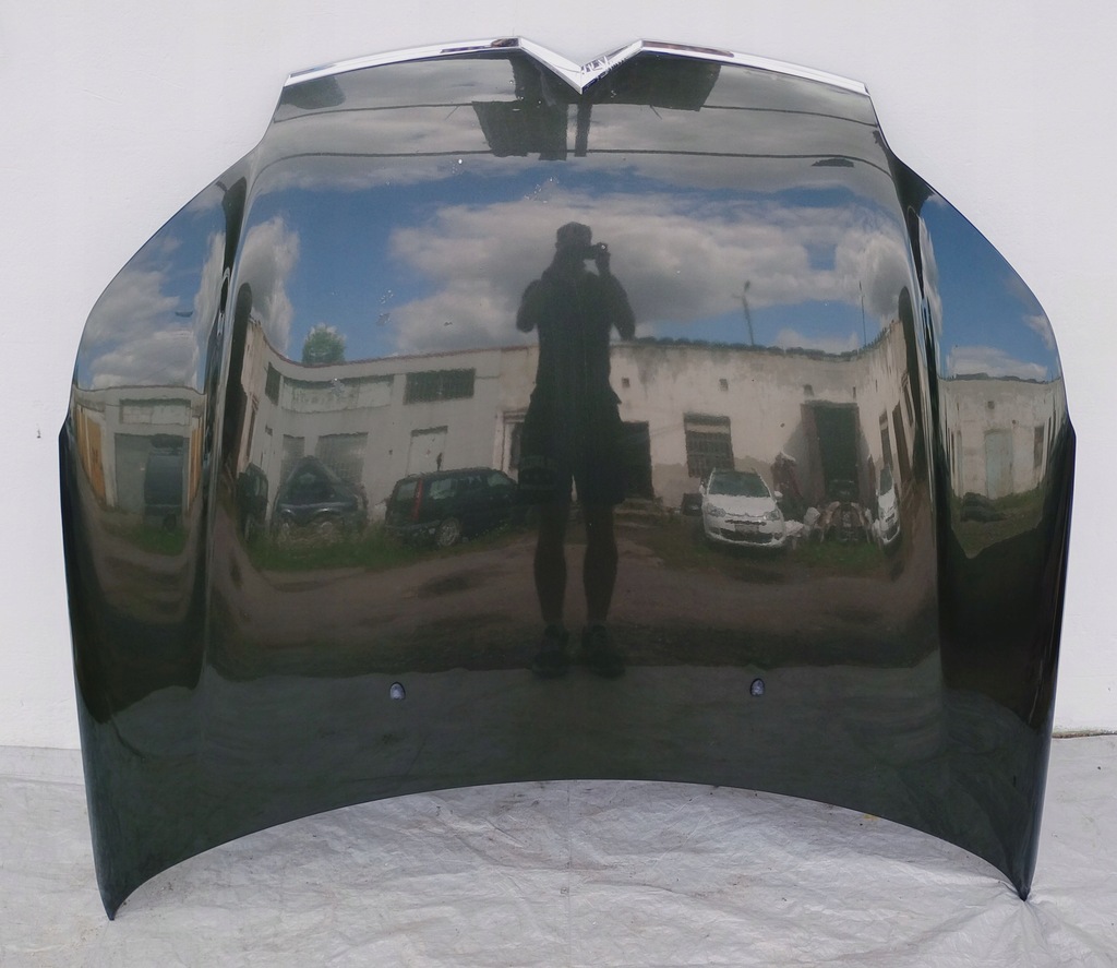 фото №1, Капот citroen c5 iii x7 08-18 kgmd