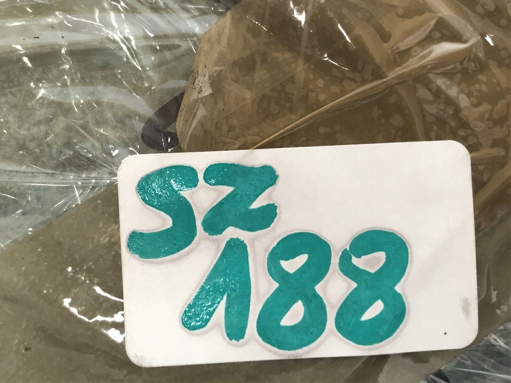 фото №8, Стекло кузовная правая задняя volvo v40 ii 2015