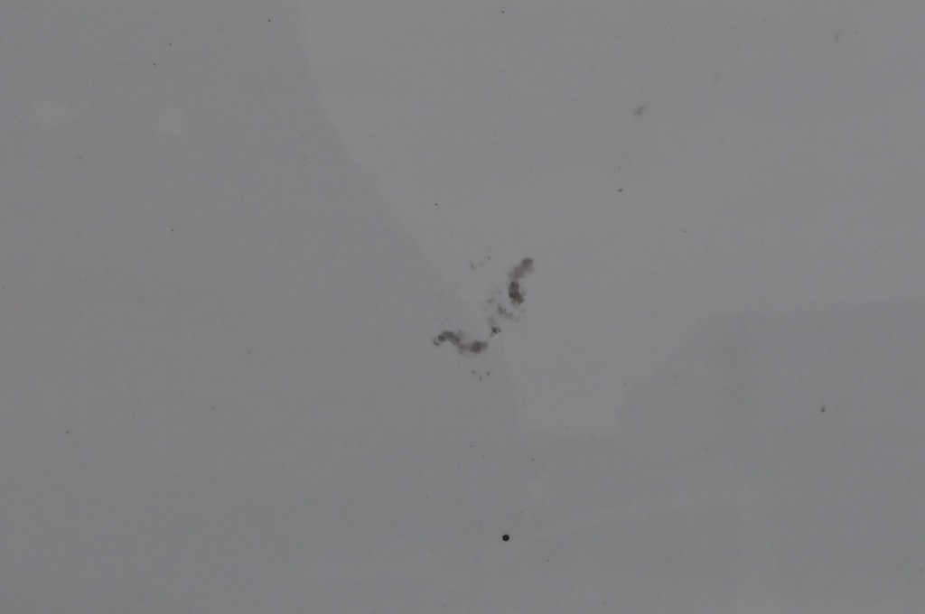 фото №12, Ford transit connect tourneo ii дверь левый задняя задние боковой раздвижные