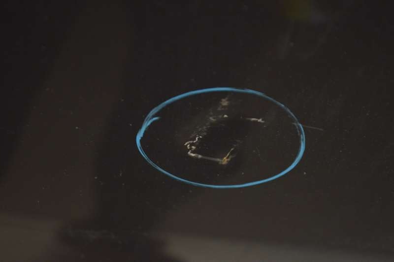 фото №5, Капот кришка двигуна czarna volvo v50 04-12