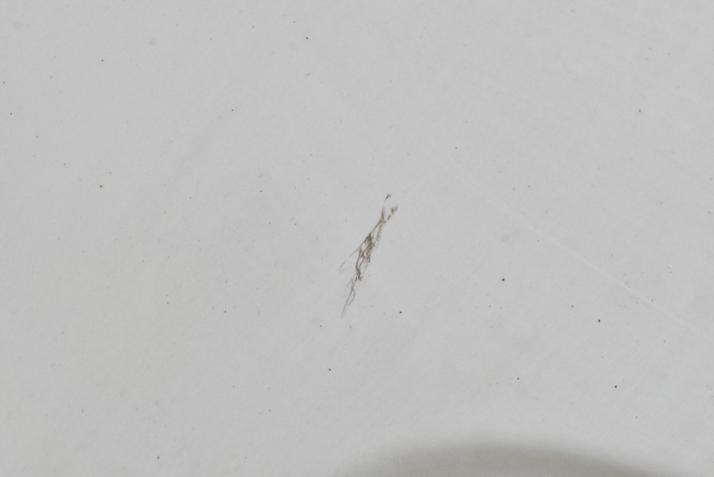 Дверь задние левая крыло белый dacia dokker 1 1 рестайлинг  17-21 Недорого