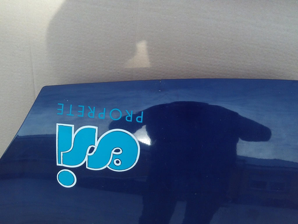 фото №2, Капот петлі renault kangoo iii lift