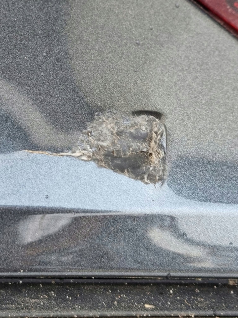 фото №6, Audi a3 8v5 бампер задній задня