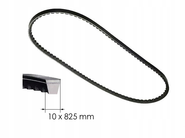 фото №8, Ремень клиновой 9.5x 825