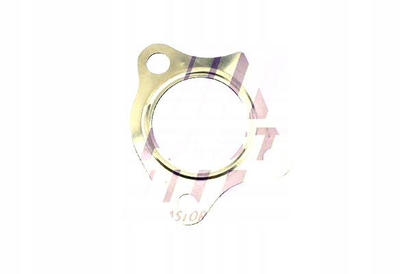 фото №1, Fast ft84824 прокладка, труба випускна