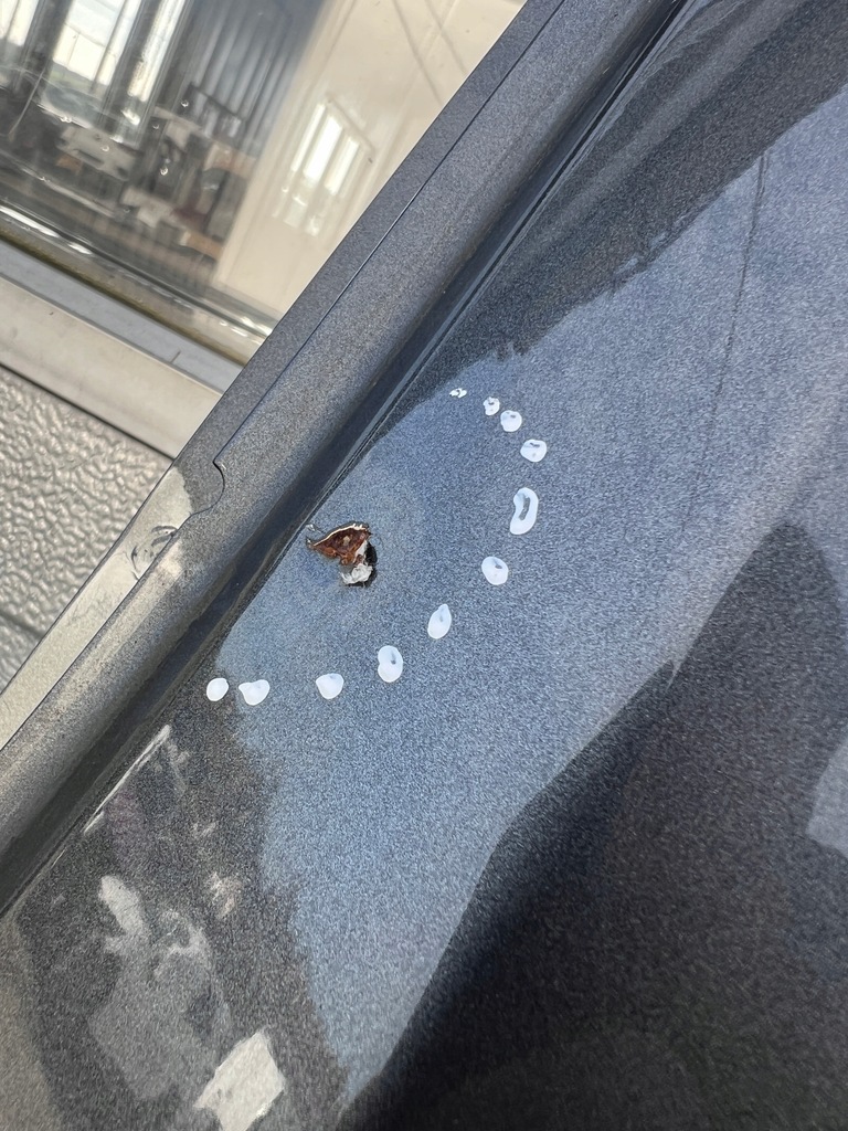 фото №6, Дверь левая перед передние peugeot expert iii 16- 9675202477 цвет evl