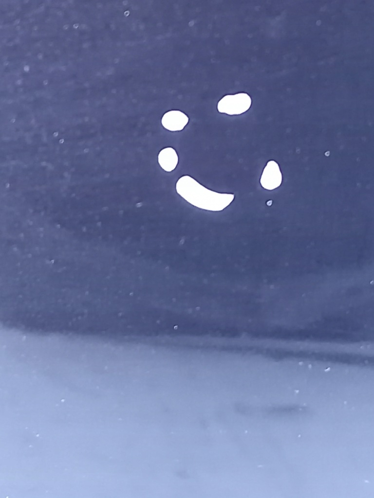 фото №7, Двері лівий перед nissan juke i f15 lift z11g