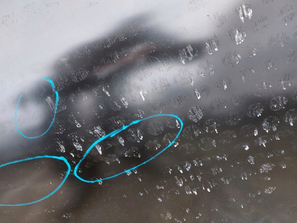 фото №5, Двері ліва задні renault clio v 20-