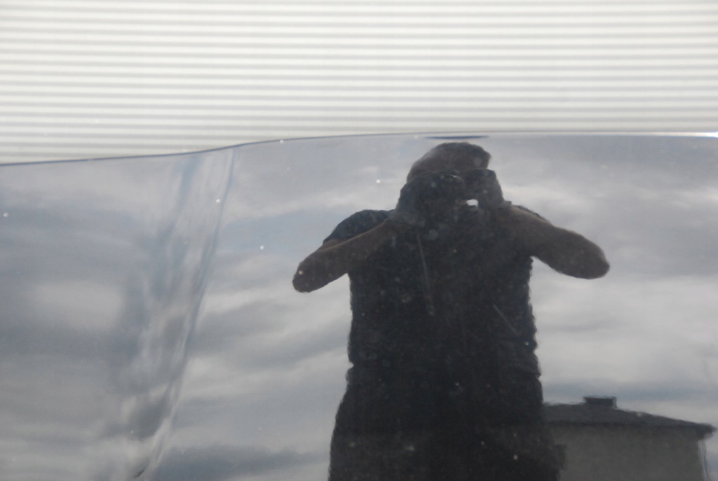 фото №5, Peugeot 5008 09-16r капот перед lak ktvd