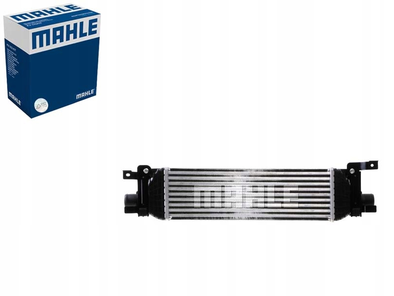 фото №1, Ford fiesta v fusion tdci mahle