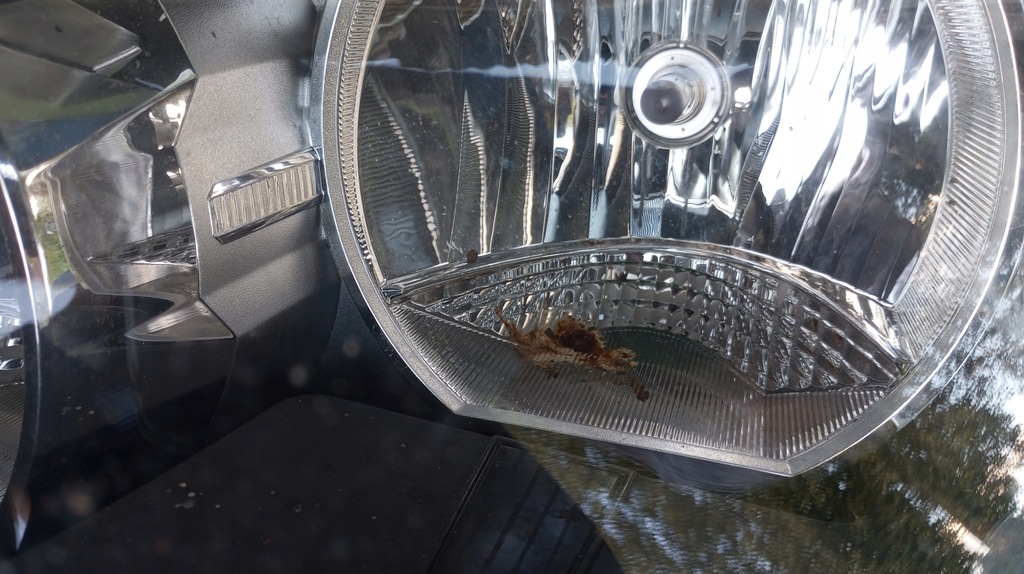 фото №12, Лампа лівий перед фара eu 7346533 bmw x1 f48 7346533-10