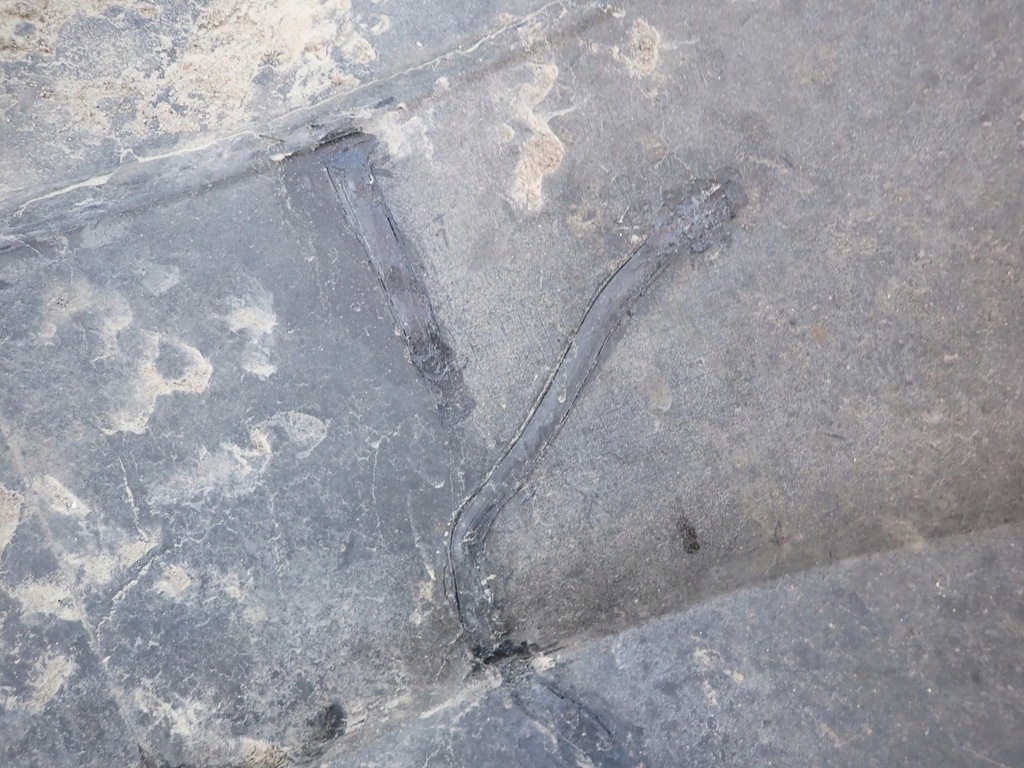 фото №15, Hyundai i30 i hb 07- бампер задняя задний