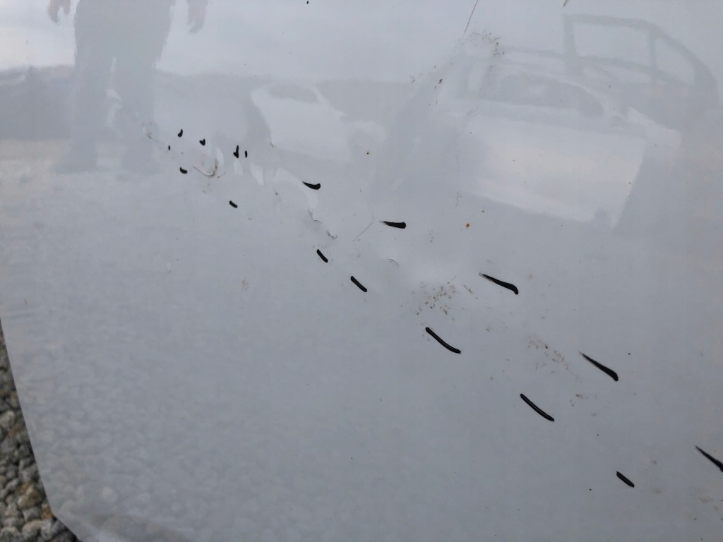 Дверь перед передние левая ford focus mk3 10- с Разборки