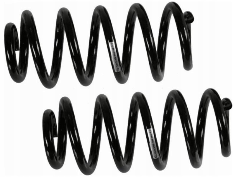 фото №1, Пружины задняя sachs 994 784