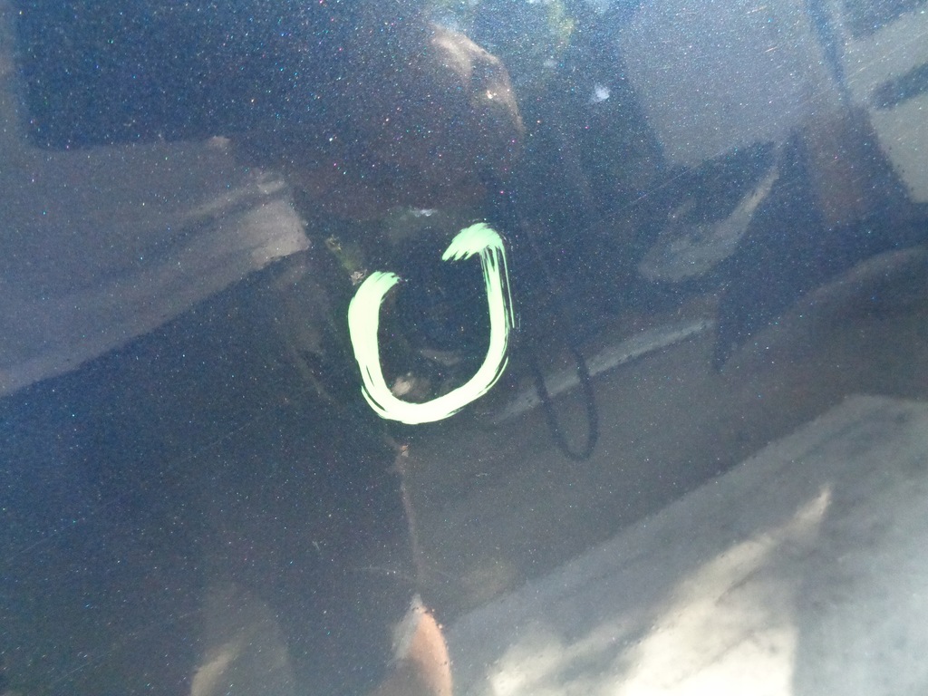 фото №6, Капот крышка двигателя kia carens iii 3 06-12