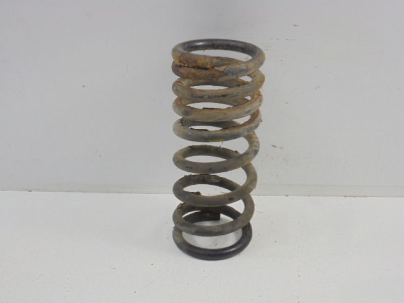 фото №7, Kia carnivale i пружина задня