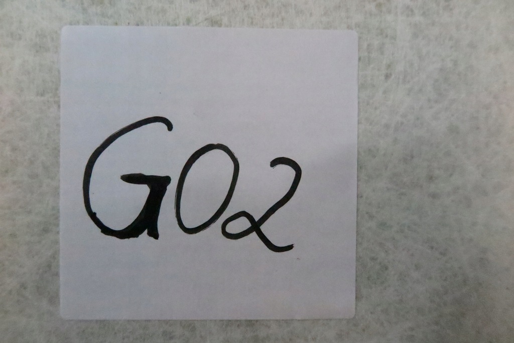 фото №10, Bmw g02 стеля czarna салон