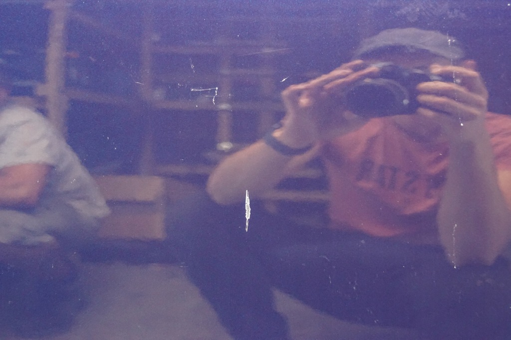 фото №9, Дверь правый перед vw polo 6r v 5d