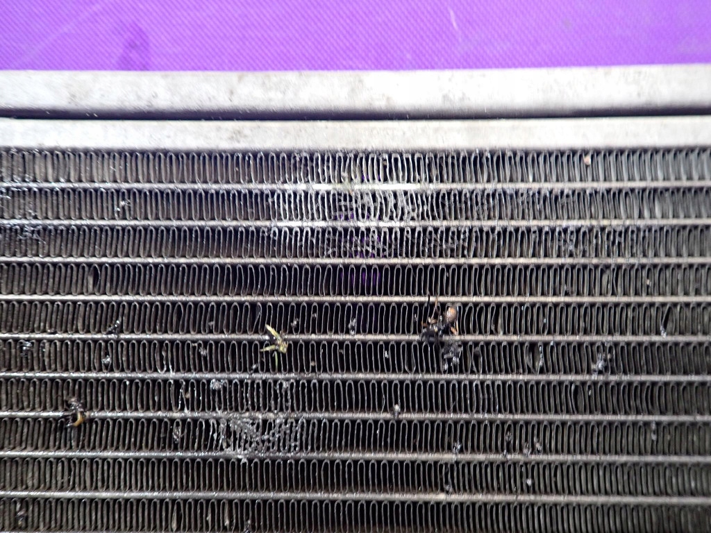 Nissan micra k12 02-07 1.2 80km радіатор води 68747 Оригінал