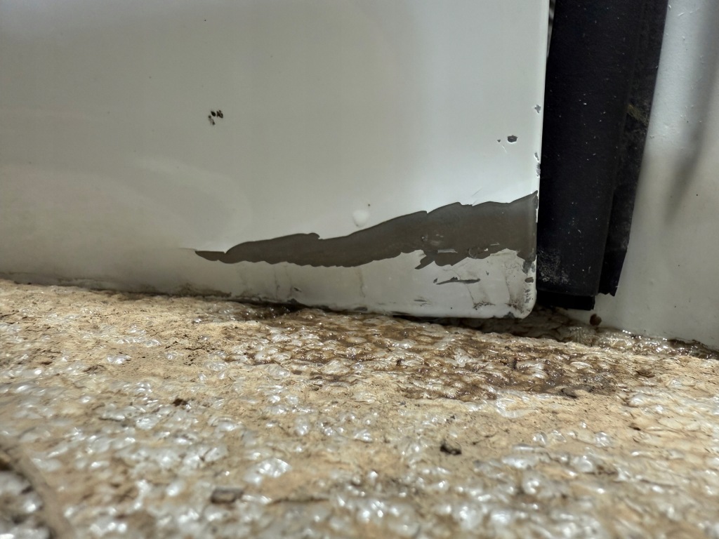 Renault express ii 21- дверь задняя задние комплект левая правое крыло ov369 в Украине