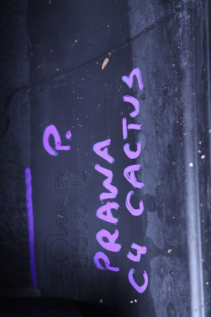 фото №8, Молдинг поріг права citroen c4 cactus lift