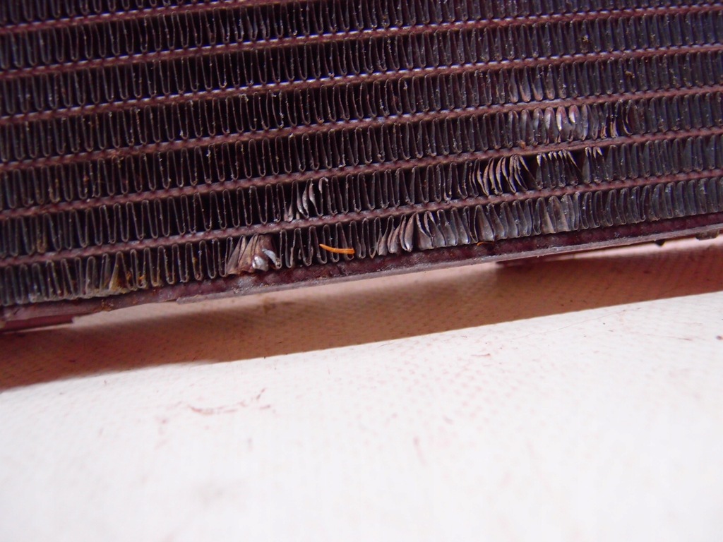 фото №13, Радіатор wody bmw 1 f21