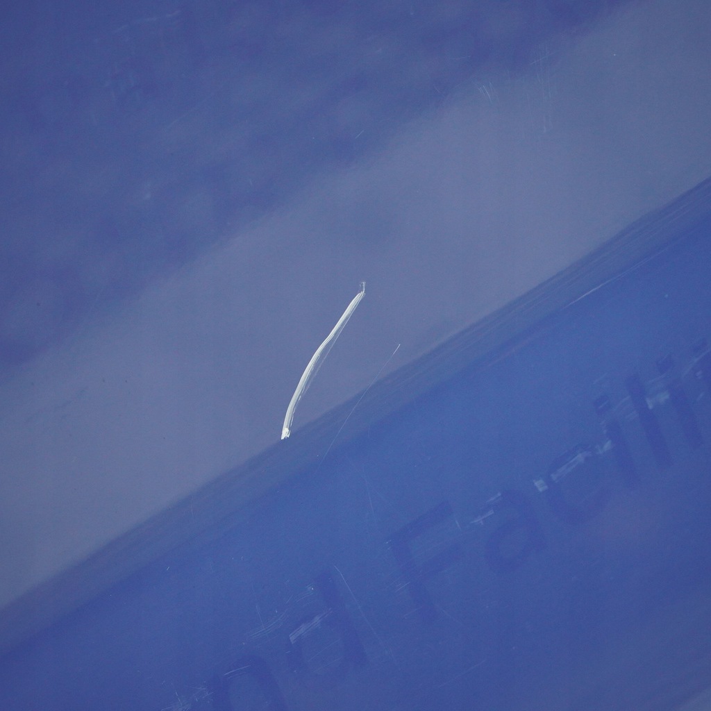 фото №11, Opel vivaro a двері праве передні ink blue - 2k