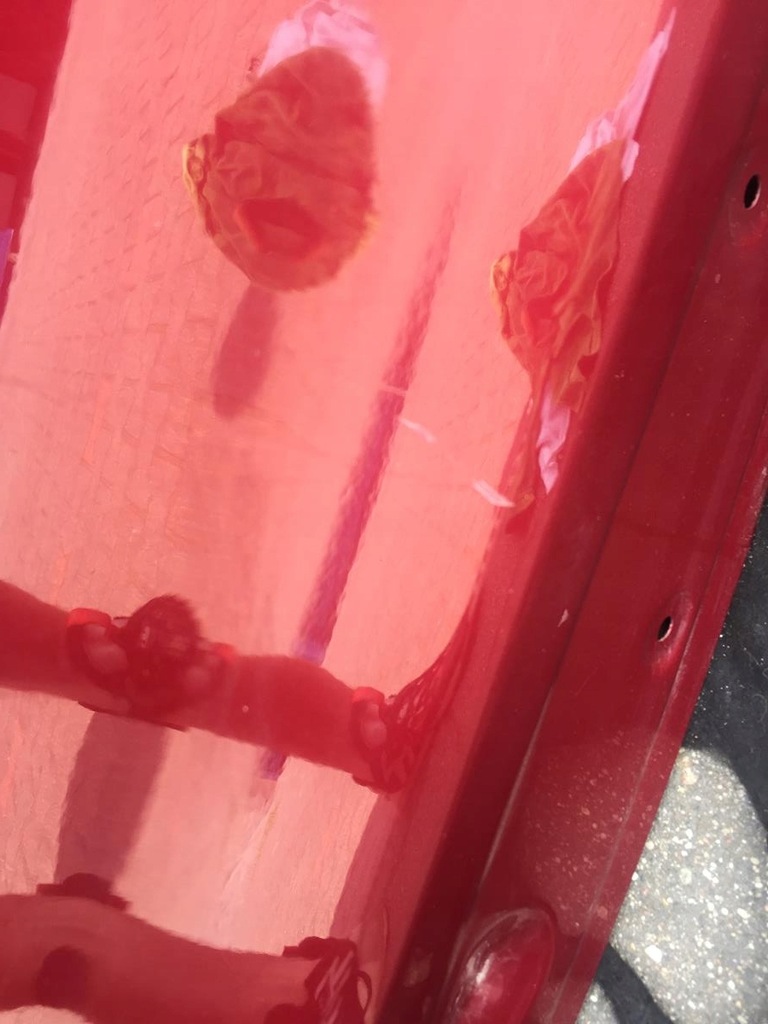 фото №3, Toyota rav4 2019- крышка багажника багажника