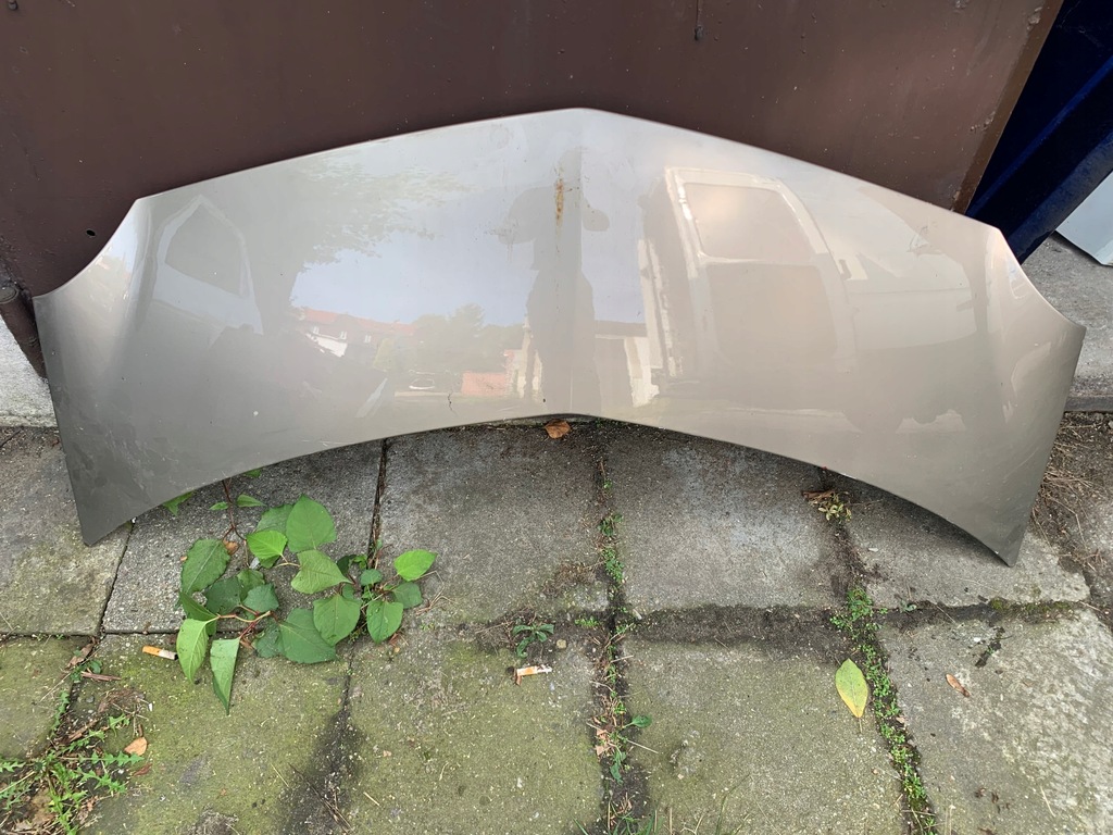 фото №1, Капот renault modus