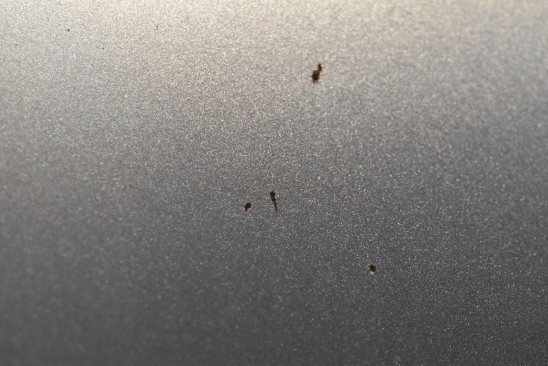 фото №6, Капот крышка двигателя c6z subaru outback 4 iv 09-12