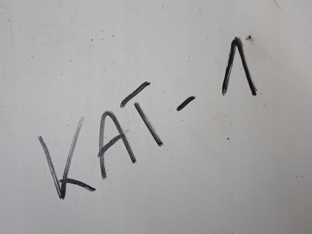 фото №10, Гаситель выхлоп катализатор bmw x1 f48 x2 f39 228271-10