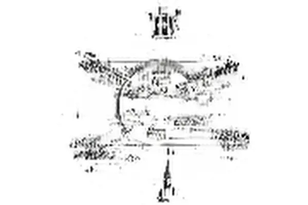 Купити Притиск зчеплення 230 0033 10 luk