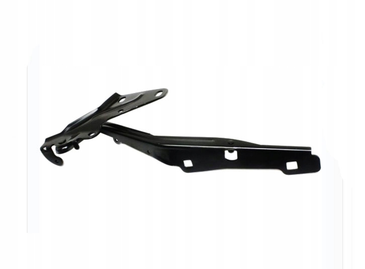 фото №1, Петля лівий