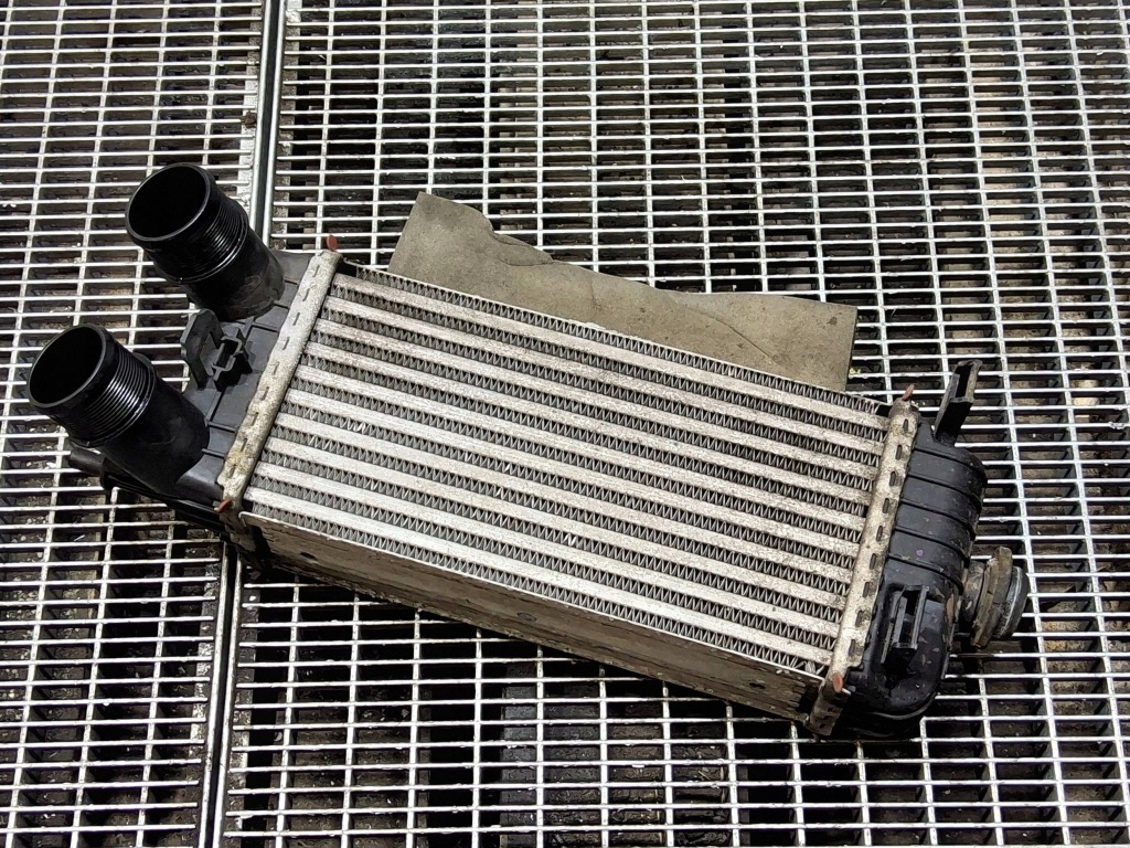 Купити Інтеркулер ford turneo courier mt766k775ba