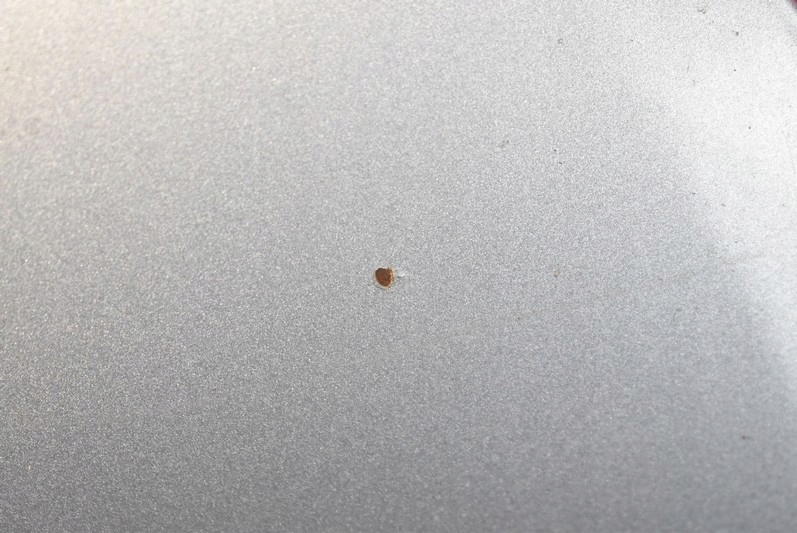 фото №4, Капот кришка двигуна блакитний ford mondeo mk3 lift 03-07