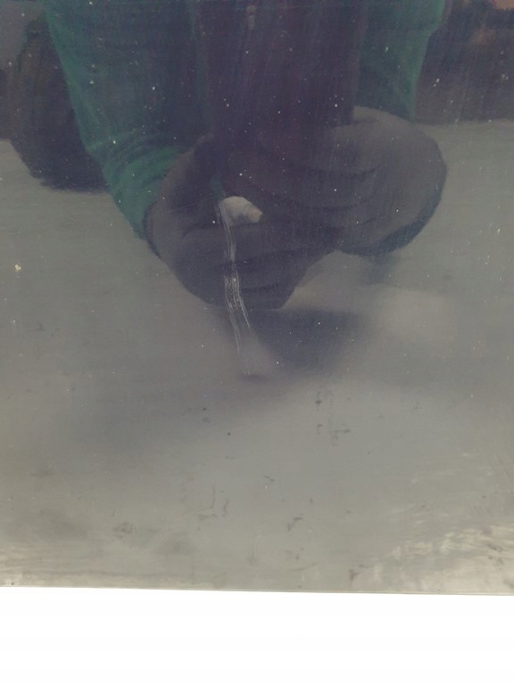 фото №5, Двері праве lg5t vw new beetle